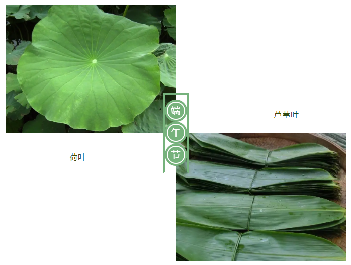 买球官网手机版·（中国）官方网站医纺