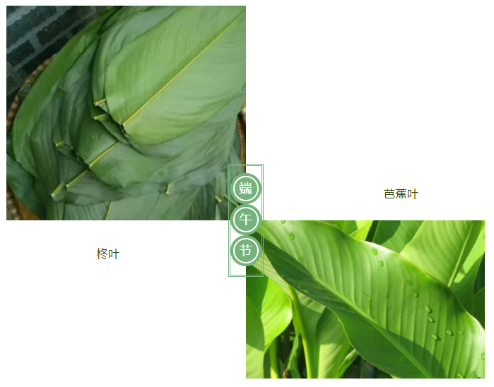 买球官网手机版·（中国）官方网站医纺