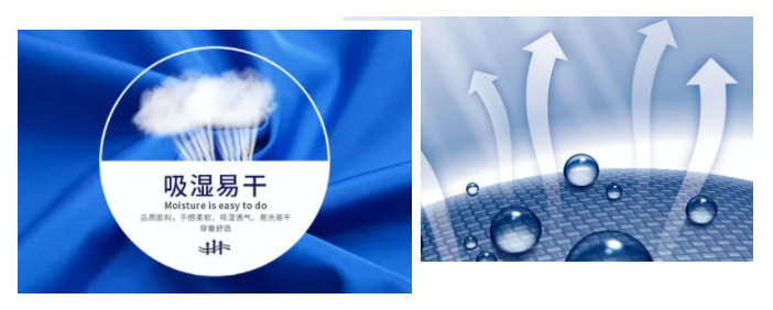 买球官网手机版·（中国）官方网站医纺