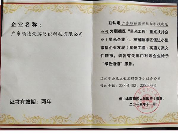 买球官网手机版·（中国）官方网站荣获政府重点扶持企业